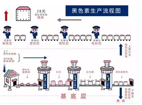 让白癜风"束手就擒"，秋季正是好时机!